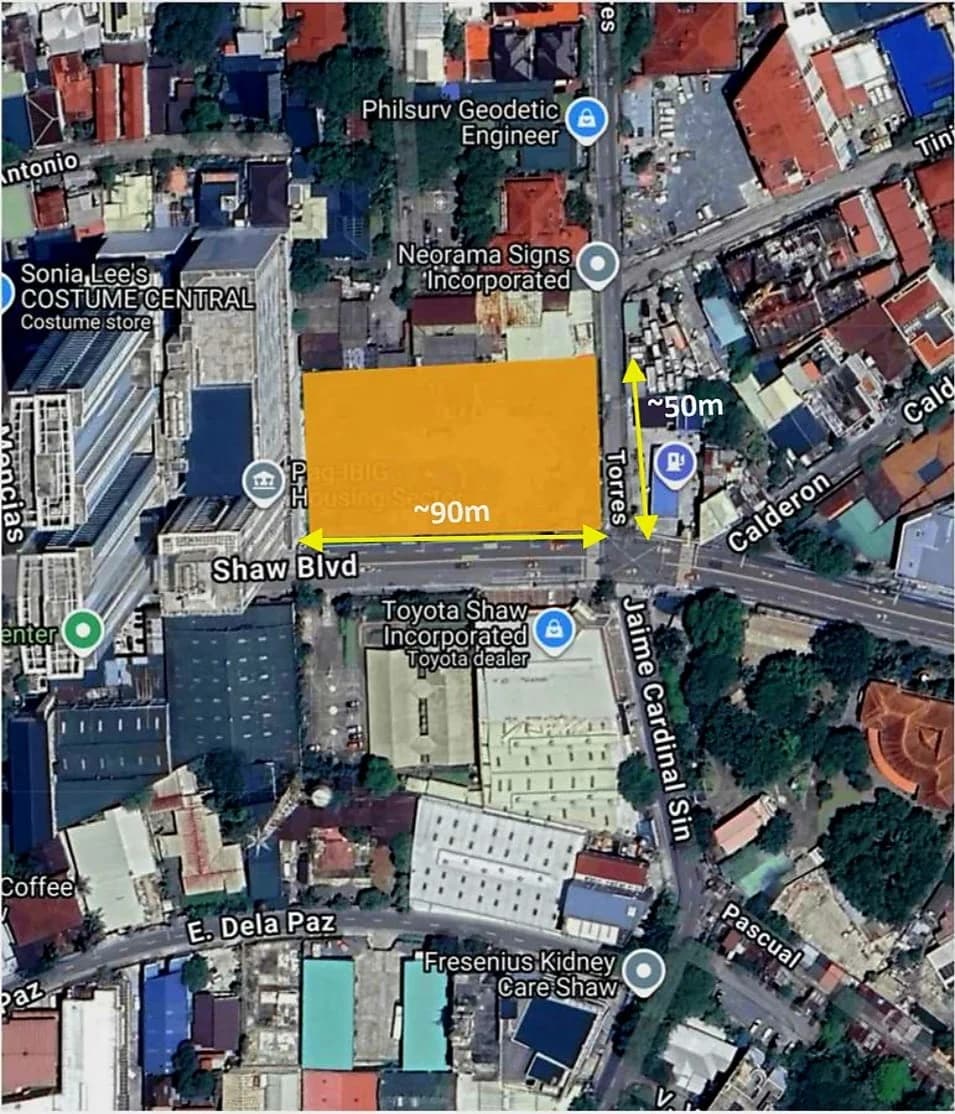 Commercial Lot - Shaw Blvd Cor. Torres St. | Lot for Sale in Mandaluyong City