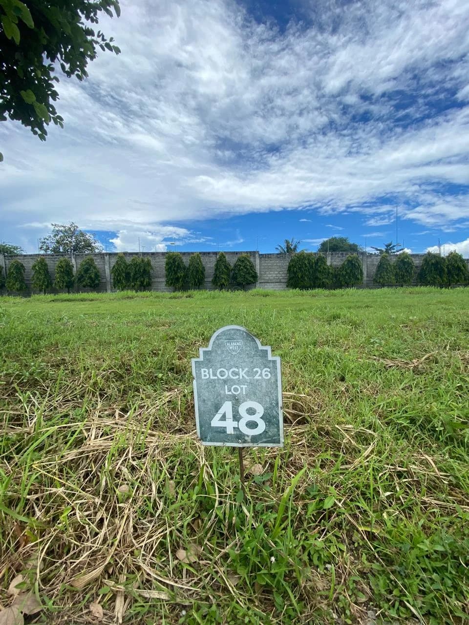 Alabang West | Lot for Sale in Las Piñas City