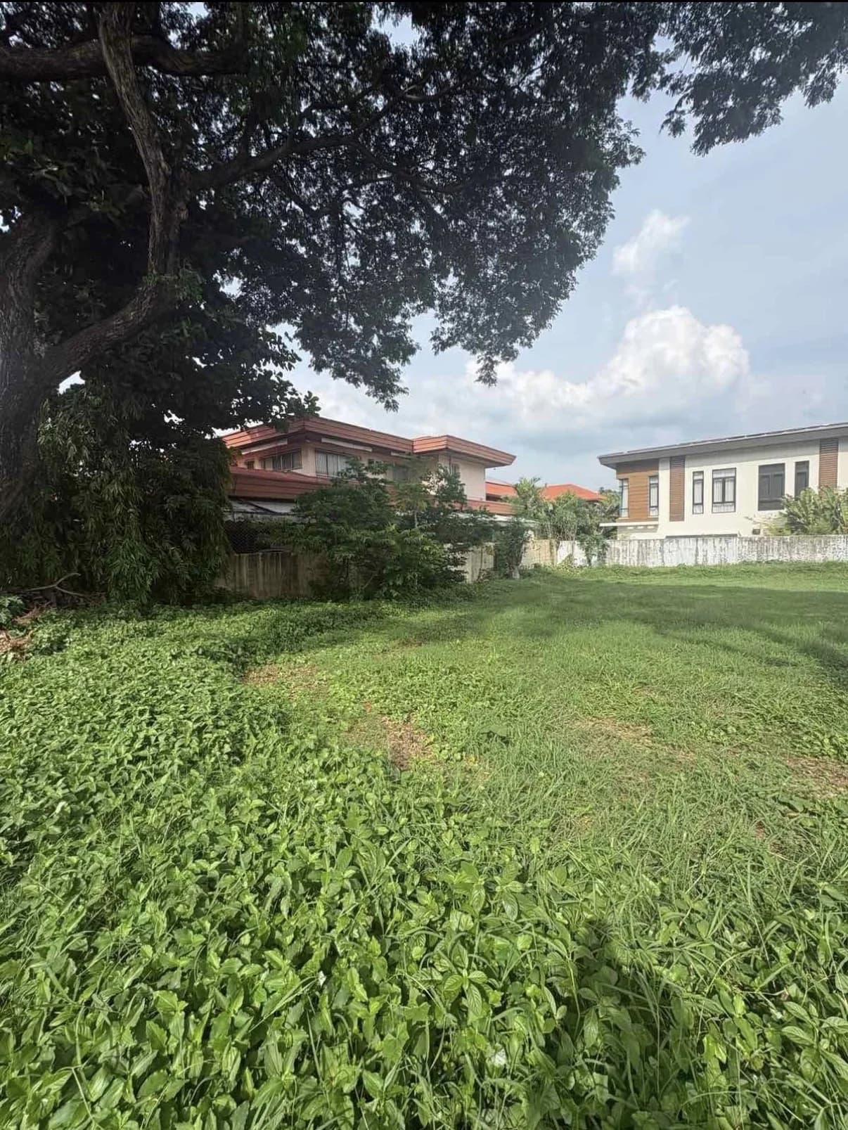 Ayala Alabang Village | Lot for Sale in Muntinlupa City