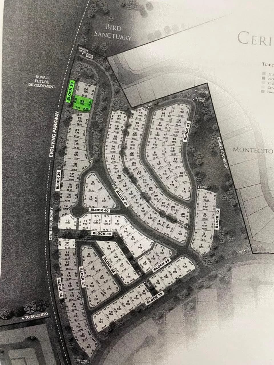 Cerilo | Lot for Sale in Laguna