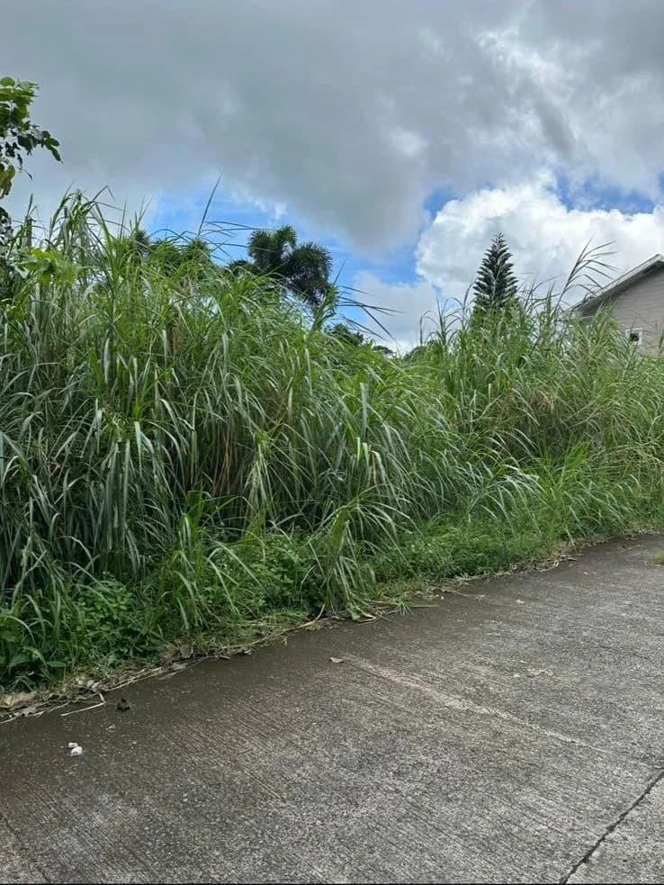 Gabriel Heights | Lot for Sale in Tagaytay City