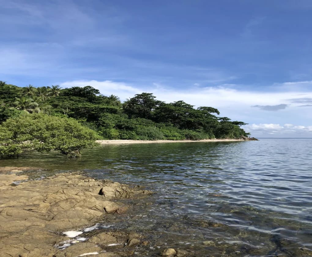 San Juan | Lot for Sale in Batangas