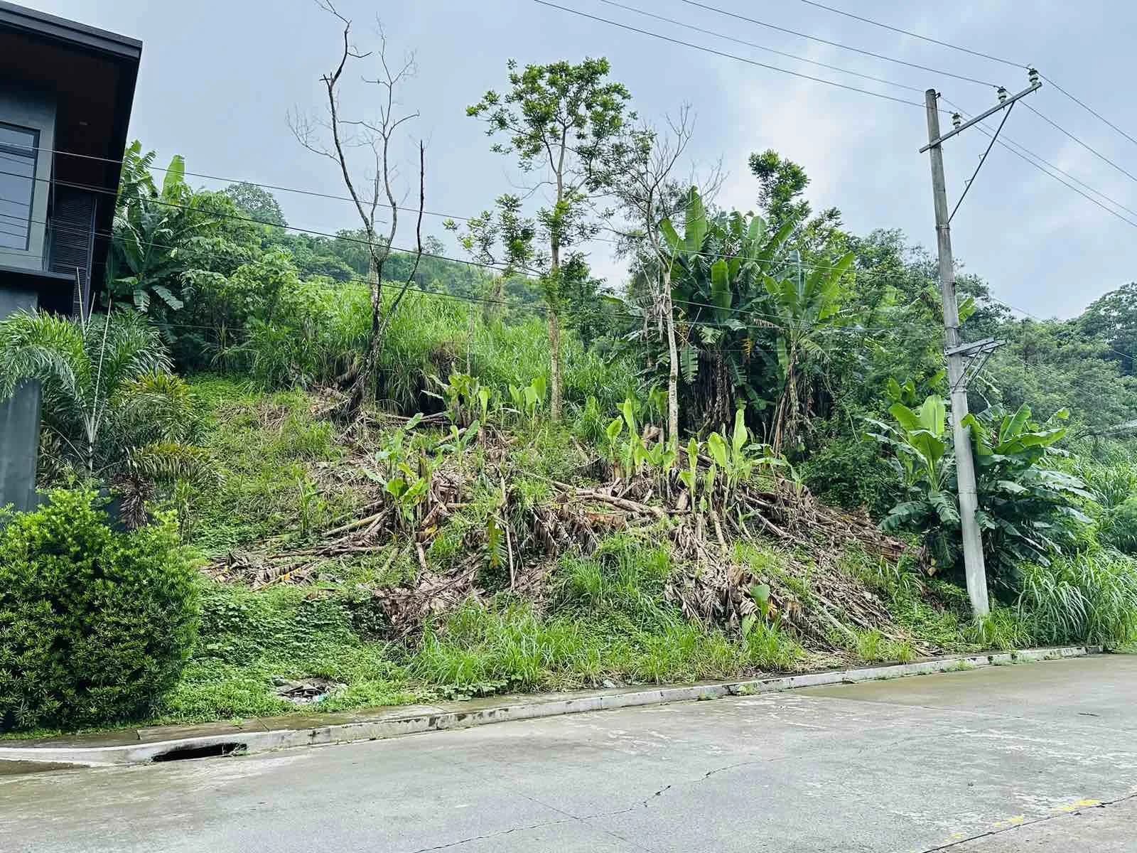 Sun Valley Estates | Lot for Sale in Rizal