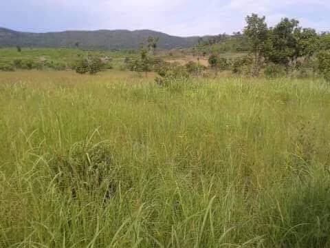 Palawan | Lot for Sale in Palawan
