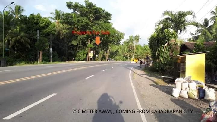 Metro Manila | Lot for Sale in Metro Manila