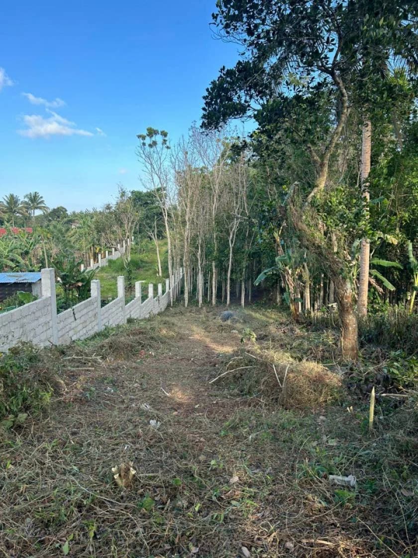 Commercial/residential Property In Amadeo Tagaytay | Lot for Sale in Tagaytay City