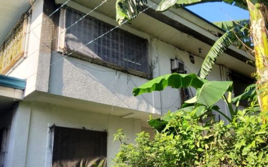 For Sale 2 storey old house at Sta Mesa Heights Tirad Pass St Quezon City