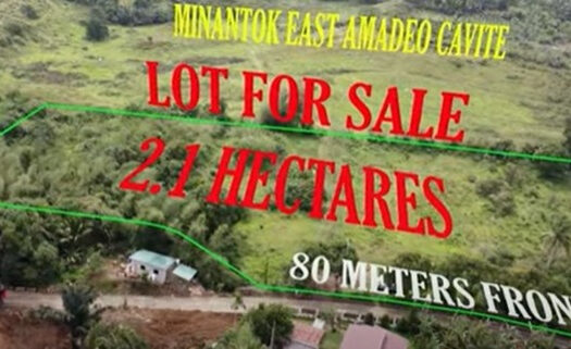 For Sale: Prime 2.1-Hectare Farm Lot in Amadeo, Cavite