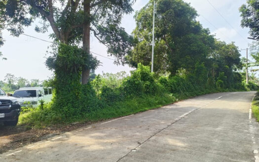 For Sale: Prime 2.1-Hectare Farm Lot in Amadeo, Cavite