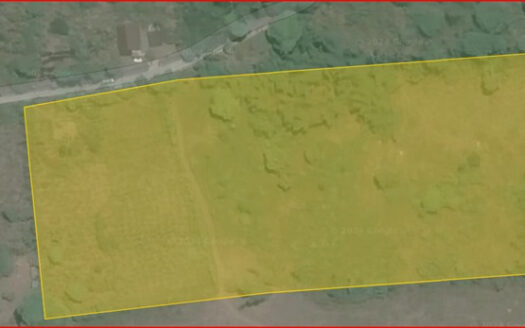 For Sale: Prime 2.1-Hectare Farm Lot in Amadeo, Cavite